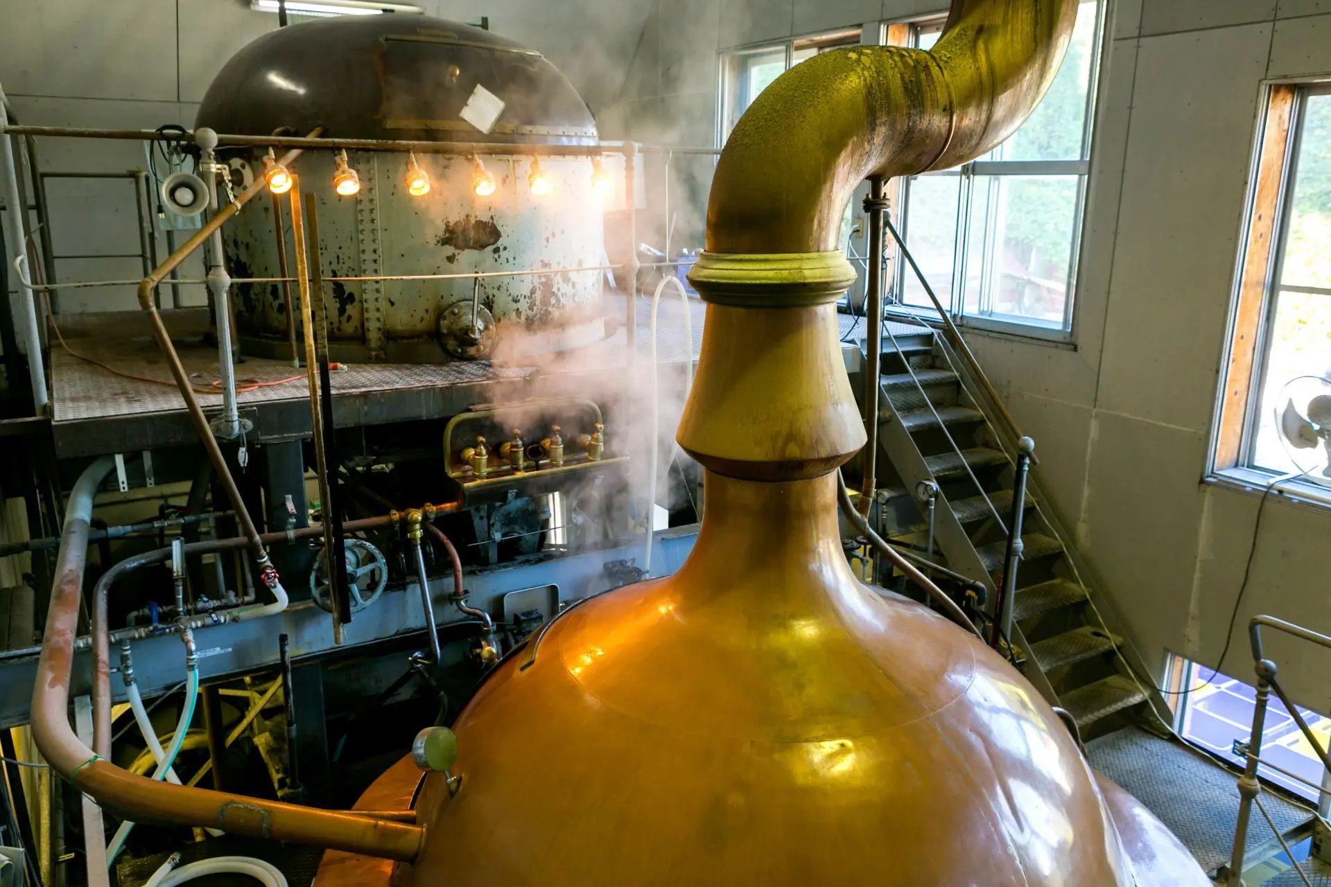 🍺 베어렌 양조장(베아렌 조조쇼) 이미지 3